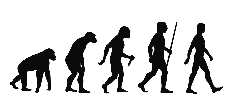 Evolution oder Devolution